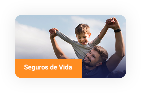 Seguros de Vida